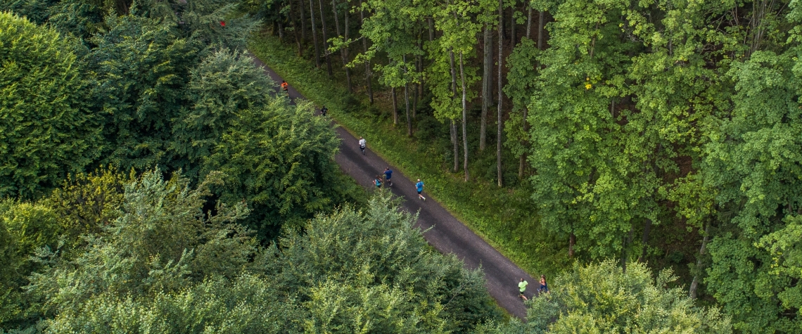 Behej lesy Karlovarsky kraj Slavkovsky les sport zdravi scaled