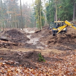 Lázeňské lesy Karlovy Vary začaly v karlovarských lesních porostech budovat tůně