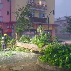 Silná bouřka lámala stromy a hasiči vyjížděli k desítkám případů