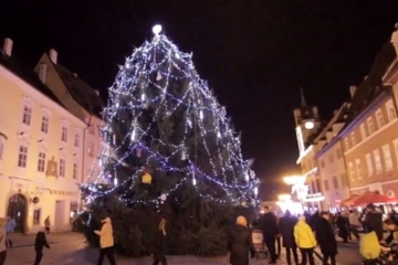 Město Cheb hledá vánoční strom