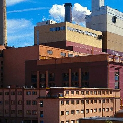 V Tisové vyrábí teplo a elektřinu z biomasy