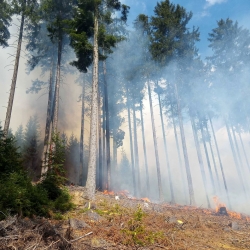 Ve svahu nad přehradou Březová hořel les