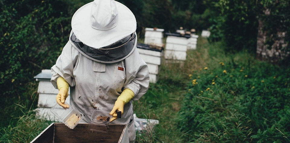 Krajský dotační program na podporu včelařství čekají změny