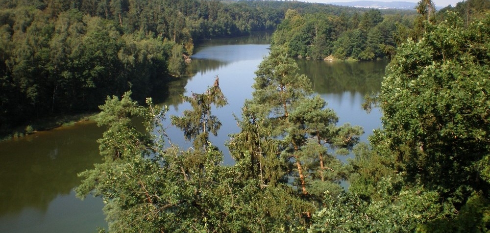 Rtuť v přehradě Skalka na Chebsku zůstává stále velmi vysoký