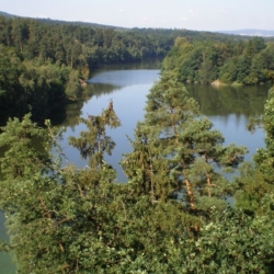 Rtuť v přehradě Skalka na Chebsku zůstává stále velmi vysoký