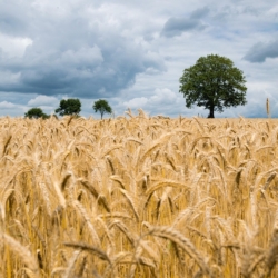 Na krajském úřadě se jednalo o podpoře zemědělství, Karlovarský kraj, Zprávy Karlovarsko