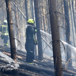 U Bublavy hořel les. Hasit pomáhali i hasiči z Německa