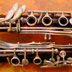 kraj a stát prohrály soud o sbírku historických hudebních nástrojů v hodnotě milionů korun
