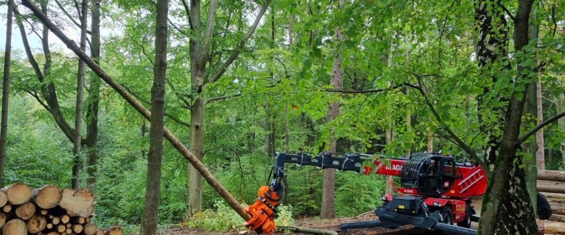 Karlovy Vary: Bezpečné kácení stromů zajišťuje unikátní stroj  