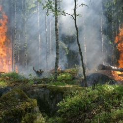 Narizeni Karlovarskeho kraje k zabezpeceni vzniku pozaru