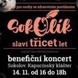 Pozvánka na benefiční koncert. Oslavte se Sokolíkem 30 let jeho činnosti