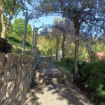 Stavební pozemek na prodej, 1530 m2, Kynšperk nad Ohří