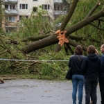 V Karlových Varech se rozpadla staletá Tuhnická vrba