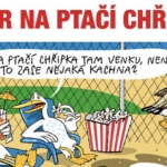 Veterináři varují před zvýšeným výskytem ptačí chřipky
