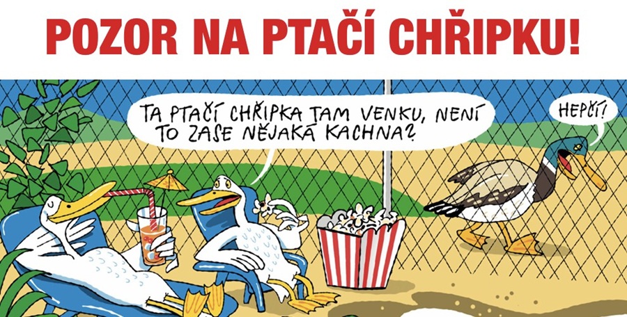 Veterináři varují před zvýšeným výskytem ptačí chřipky