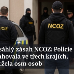 Detektivové z NCOZ zasahovali ve třech krajích včetně Karlovarského