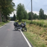 Pes způsobil dopravní nehodu u Toužimi na Karlovarsku