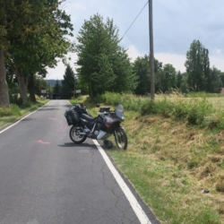 Pes zpusobil dopravni nehodu u Touzimi na Karlovarsku Pes způsobil dopravní nehodu u Toužimi na Karlovarsku