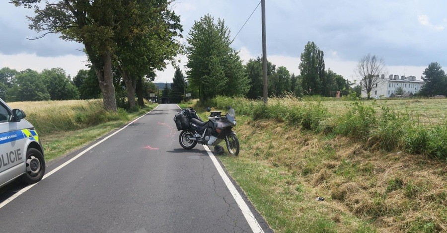 Pes způsobil dopravní nehodu u Toužimi na Karlovarsku