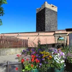 Chebský hrad se stane dějištěm natáčení historické minisérie Anežka