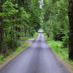 Smrtelná nehoda na lesní cestě u Aše