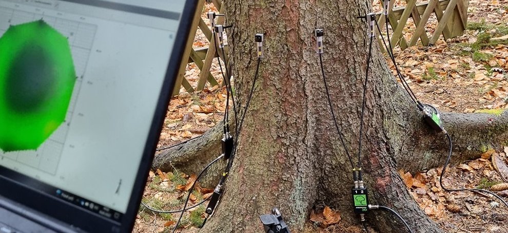 Lázeňské lesy a parky Karlovy Vary provedly kácení stromů ve Dvořákových sadech