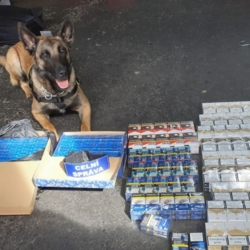 Celníci v Karlovarském kraji zjistili neznačené cigarety