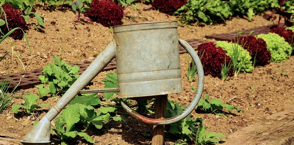 Chodov nabizi k prodeji pozemky na zahradky ve Vancurove ulici Chodov nabízí k prodeji pozemky na zahrádky ve Vančurově ulici