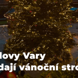 Karlovy Vary hledají vánoční strom města