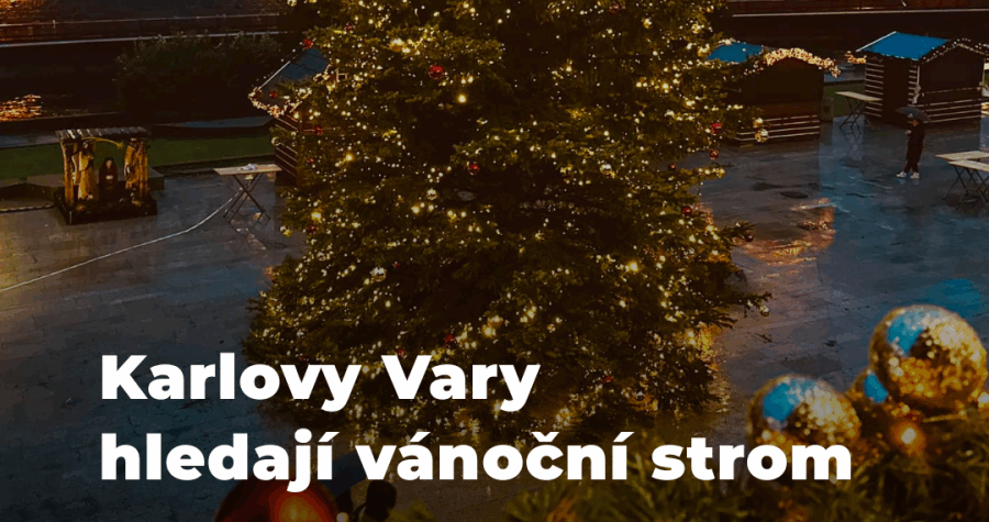 Karlovy Vary hledají vánoční strom města