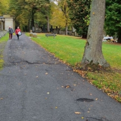 Karlovy Vary opraví chodníky na drahovickém hřbitově