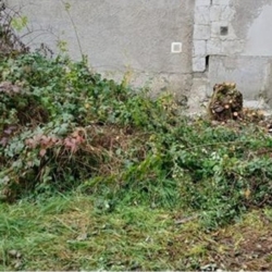 Lidé bez domova pomohli uklidit další chebskou lokalitu