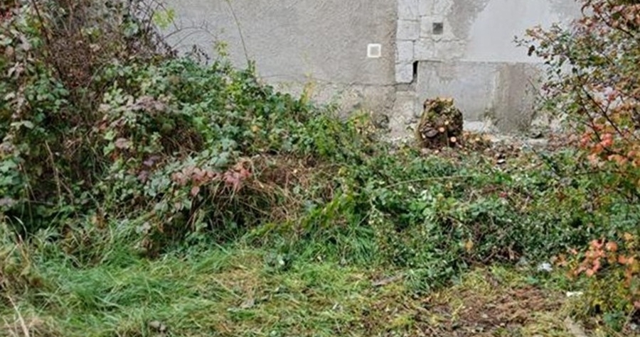 Lide bez domova pomohli uklidit dalsi chebskou lokalitu Lidé bez domova pomohli uklidit další chebskou lokalitu