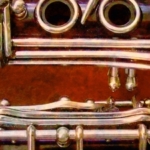 Karlovarský kraj neuspěl ve sporu o sbírku hudebních nástrojů