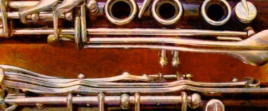 Karlovarský kraj neuspěl ve sporu o sbírku hudebních nástrojů