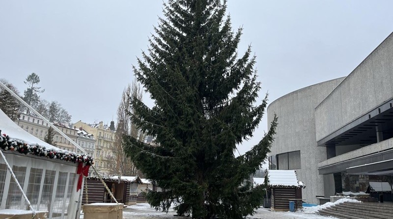 Karlovy Vary májí nový vánoční strom. Poničenou douglasku nahradil smrk