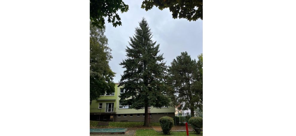 Karlovy Vary ozdobí vánoční strom z mateřské školy