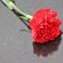 Nejčastější příčiny úmrtí v Karlovarském kraji