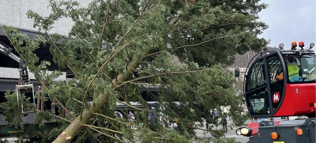 V Karlových Varech musí vyměnit vánoční strom