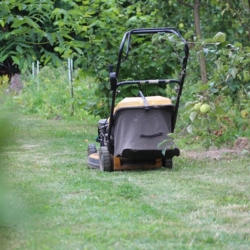Chodov chce prodávat zahrádkářské pozemky ve Vančurově ulici za jednotnou cenu