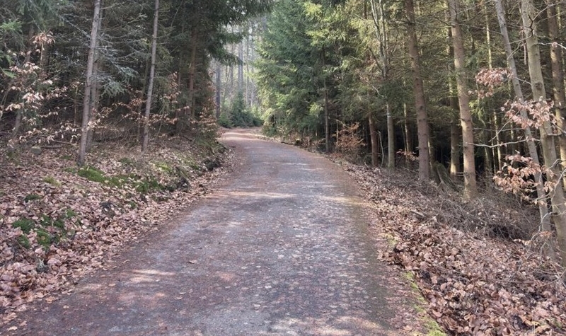 Dočasně se uzavře část Tuhnické stezky v lázeňských lesích