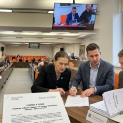 Opozice v Ostrově podala podnět na ÚOHS kvůli zakázce na úpravu záhonů